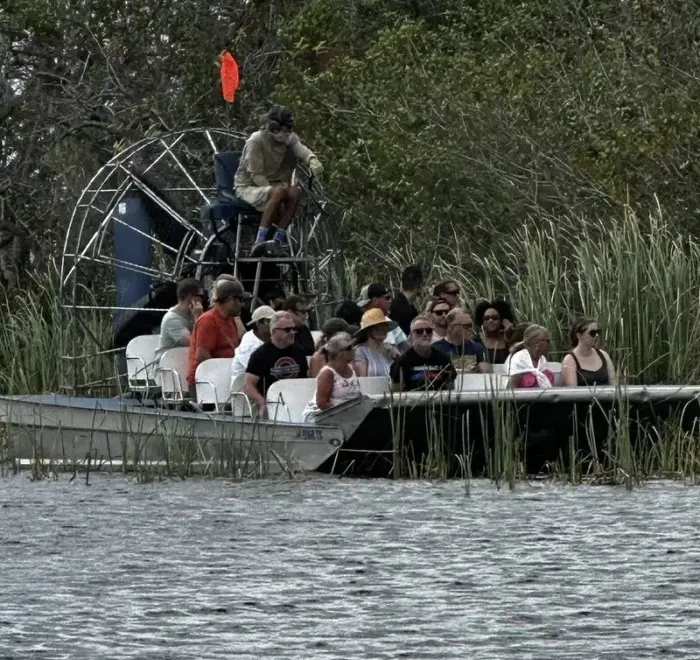 Mercedes Sprinter to Everglades from Miami Beach