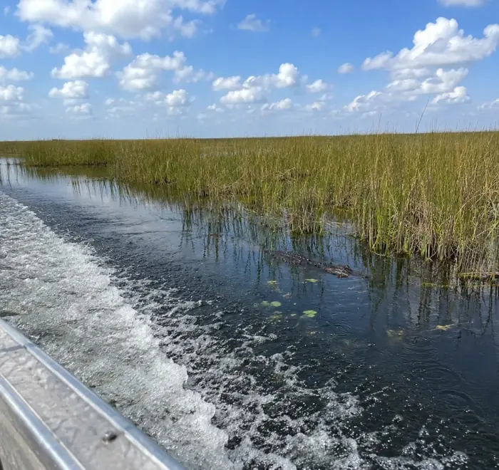 Everglades airboat tour for groups from Miami Beach