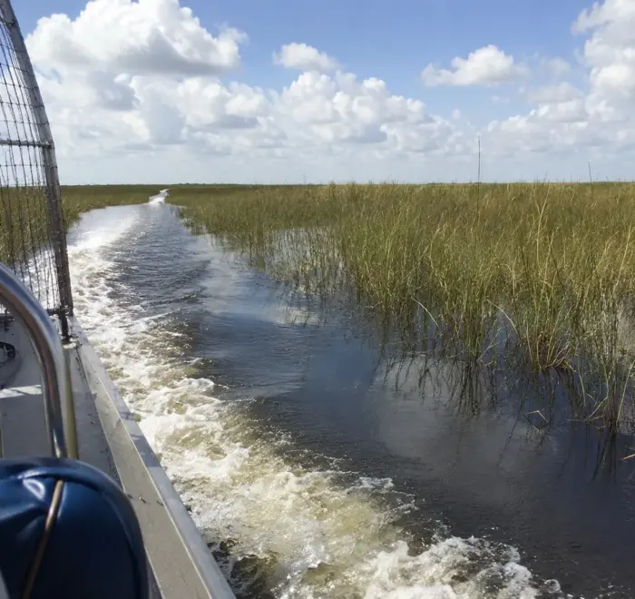 Everglades round trip with airboat from Miami Beach