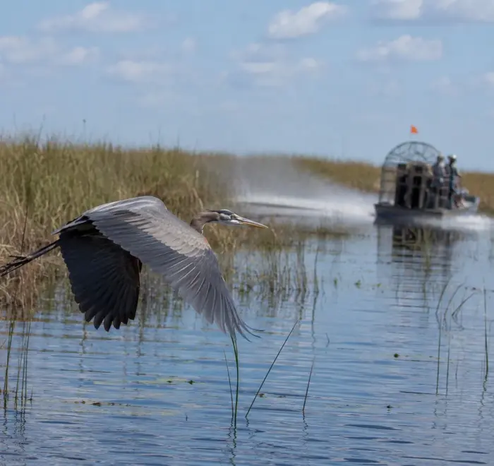 Miami Beach to Everglades airboat tour