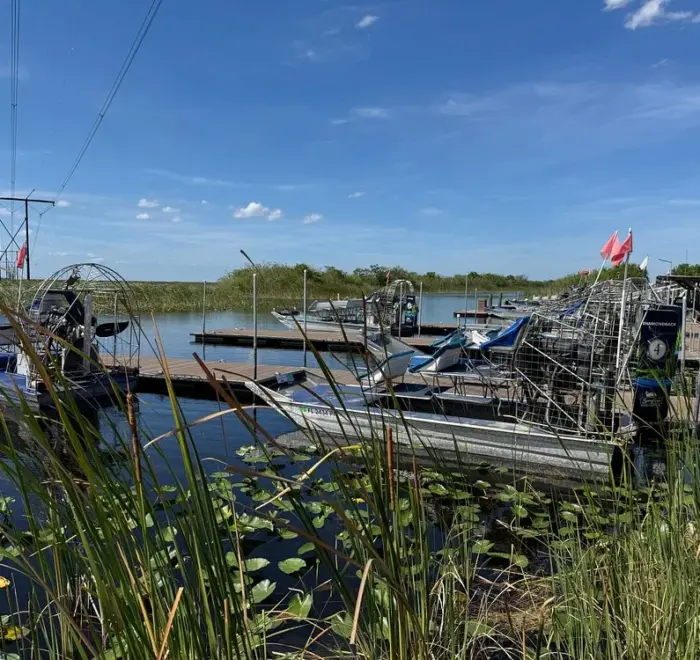 Everglades sightseeing tour from Miami Beach