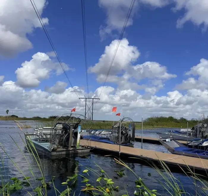Everglades wildlife tour from Miami Beach