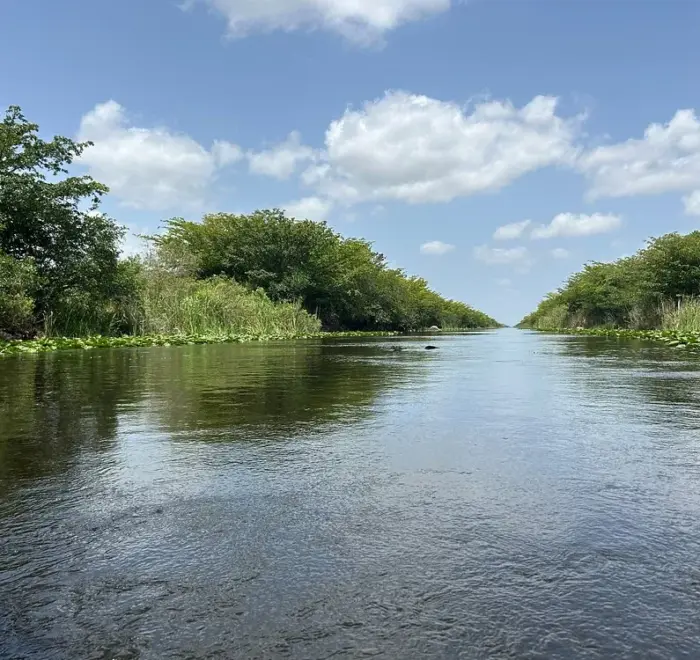 half day Everglades airboat tour from Miami Beach