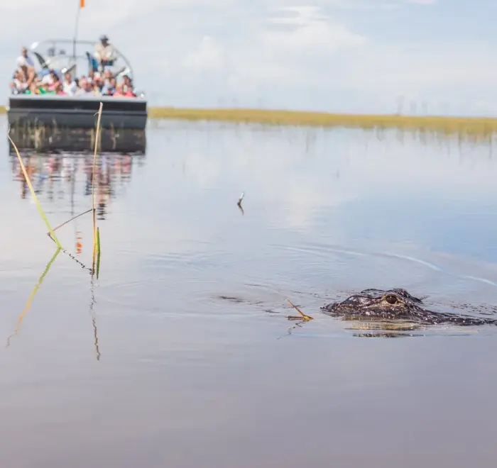 group Everglades excursion from Miami Beach