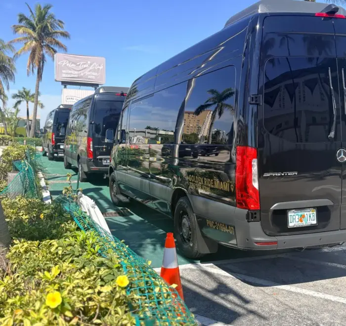 private Everglades transportation for families